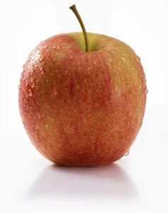 Single Object Food Photography Drucke: Apple (Malus), white background