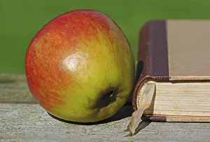Daytime Leisure Activity Drucke: Apple beside an old book