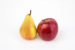 White Background Fruit Photography Drucke: Apple and pear, studio shot, white background