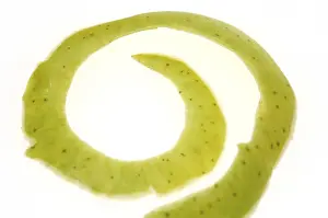 Studio Shot Of Apple Drucke: Apple peel