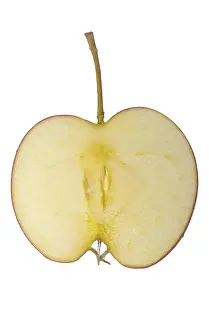 Cut Out Apple Image Drucke: Apple slice with stalk
