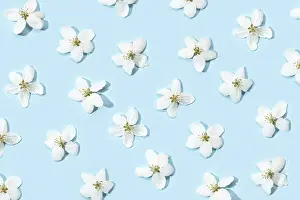 Deciduous Tree Texture Drucke: Apple tree floral pattern. Bright summer background