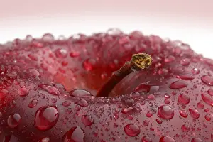 Fresh Red Fruit Drucke: Apple with waterdrops