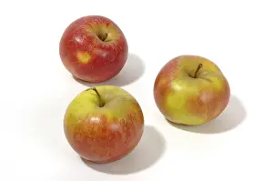 Healthy Eating Meals Drucke: Apples
