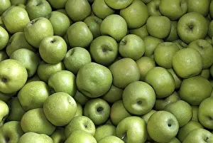 Gerahmter Druck : Apples Gerahmter Druck : Apples
