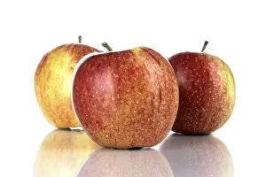 Studio Shot Fruit Photography Drucke: Apples (Malus)