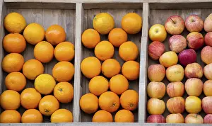 Fresh Citrus Fruits Drucke: Apples and oranges as fruit composition