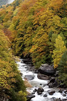 European Natural Reserve Drucke: Aragon Subordan river