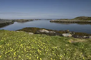 Norway Coastal Landscape Drucke: Archipelago in Norway