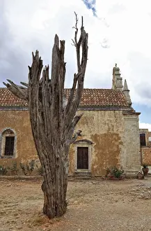 Crete Greece Drucke: Arkadi Monastery, the bullet tree