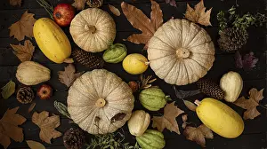 Autumn Arrangement Drucke: An arrangement of pumpkins, pine cones