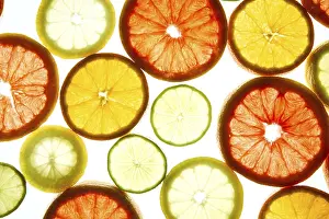Fresh Citrus Fruit Drucke: An array of colorful citrus slices