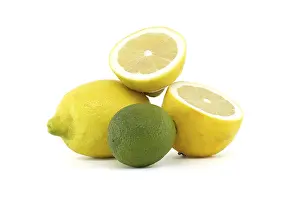 Fresh Citrus Fruits Drucke: Array of fresh citrus fruits, consisting of bright