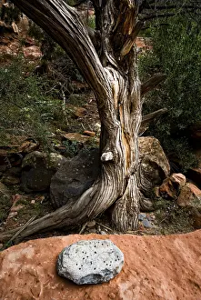 American Nature Photography Drucke: Art with natural objects, stone