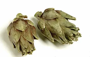 Biologically Grown Vegetables Drucke: Artichoke