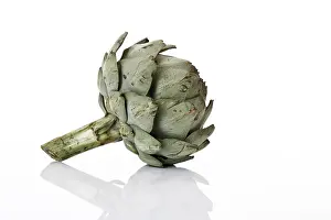 Still Life Studio Shots Drucke: Artichoke