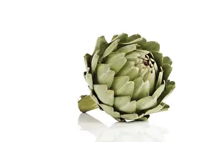 Cut Out Food Image Drucke: Artichoke