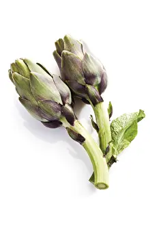 Studio Shot Of Vegetables Drucke: Artichokes