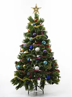 Studio Shot Christmas Tree Drucke: Artificial Christmas tree on a white background