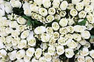 Decorative Artificial Flowers Drucke: Artificial white Roses