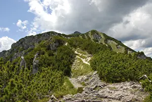 Bavarian Alps Landscape Drucke: Ascent, path to the summit, Mt