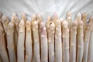 White Asparagus Drucke: Asparagus