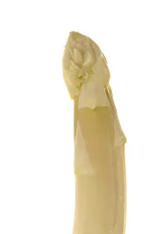 Drucke von Asparagus Essen Drucke: Asparagus