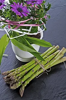 Vegetable Plant Care Tips Drucke: Asparagus and daisies