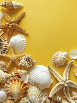 Plain Yellow Background Drucke: Assorted seashells artfully scattered on a yellow backdrop