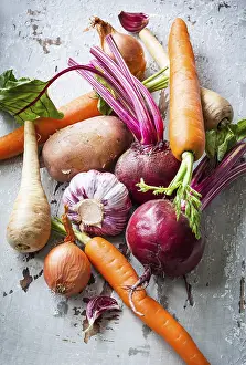 Orange Root Vegetables Drucke: Assorted types of root vegetables