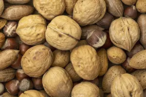 Assorted Nuts Drucke: Assortment of nuts in shells. Selection of different types of nuts