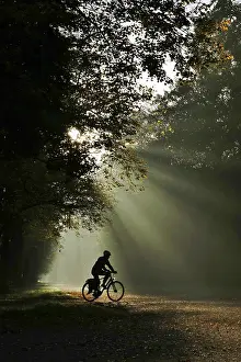 Moody Autumn Landscape Germany Drucke: Atmospheric autumn time, October, Germany