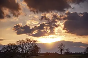 Atmospheric Sunset Germany Drucke: Atmospheric sunset with cloudy sky and trees