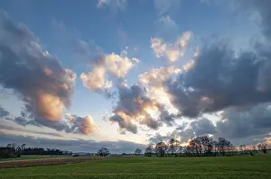 German Evening Sky Drucke: Atmospheric sunset with cloudy sky and trees and fields in the foreground