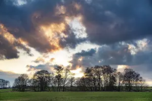 Atmospheric Cloudy Sky Drucke: Atmospheric sunset with cloudy sky and trees and fields in the foreground