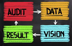 Financial Auditor Drucke: Audit Concept