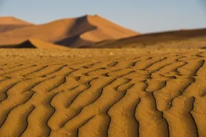 Wavy Sand Patterns Drucke: Wavy pattern in sand, Big Mama