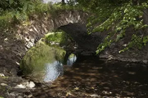 European Countryside Photography Drucke: Aumatal, Germany, Greiz, Thuringia