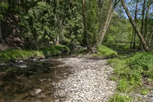 Natural Preserve Germany Drucke: Aumatal, Germany, Greiz, Thuringia