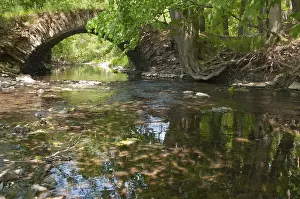 Nature Conservation Area Germany Drucke: Aumatal, Germany, Greiz, Thuringia