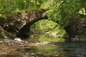 Thuringia Landscape Drucke: Aumatal, Germany, Greiz, Thuringia
