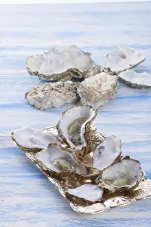 Muscheln Drucke: Auster