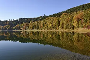 Autumn Forest Germany Drucke: Autumn forest reflected in Hennesee