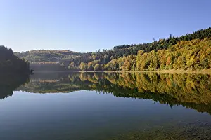 Autumn Forest Drucke: Autumn forest reflected in Hennesee