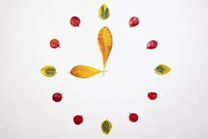 Autumn Leaf Clock Drucke: Autumn Time - Clock of autumn leafs