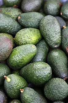 Avocado Nutrition Drucke: Avocado