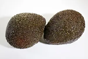 Exotic Fruit Images Drucke: Avocados