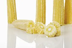 Indian Food Photography Drucke: Baby corn