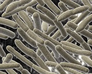 Infectious Disease Drucke: Bacillus on blurred background