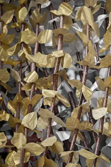 Full Frame Wallpaper Design Drucke: Backdrop and backgrounds texture details in abstract form